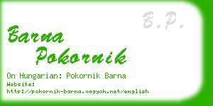 barna pokornik business card